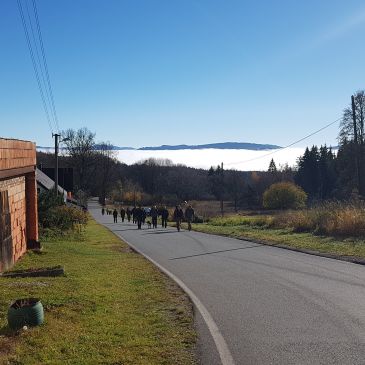 20181110_101157