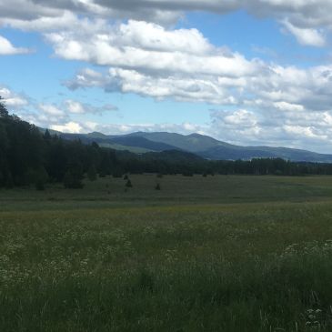 img_0507